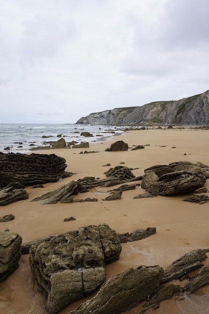 the beach in the coast             