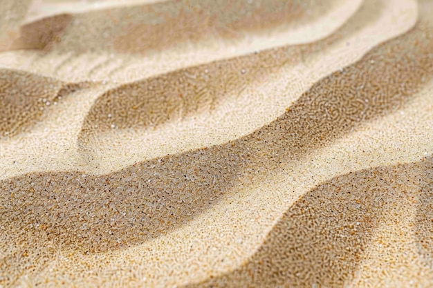 Photo beach or desert sand cut out for creative use