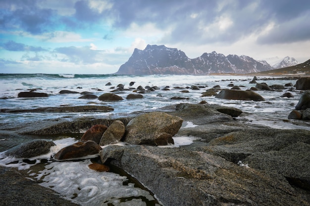 Beach of fjord in Norway