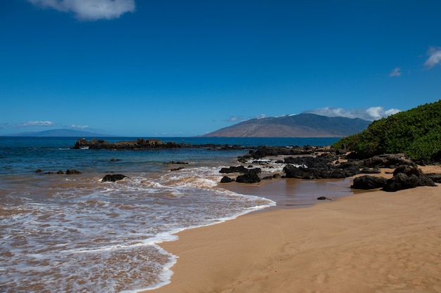 Beach in Hawaii Dream landscape Paradise Sunny beach with turquoise sea Summer vacation and tropical beach concept