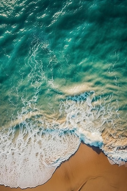 The beach is a beautiful place to relax and relax.