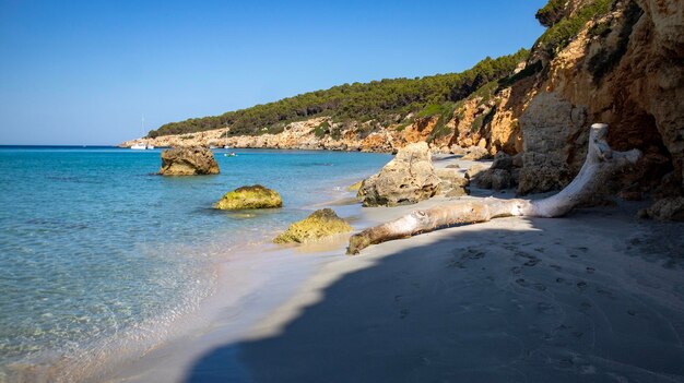 The beach is a popular spot for the tourists.