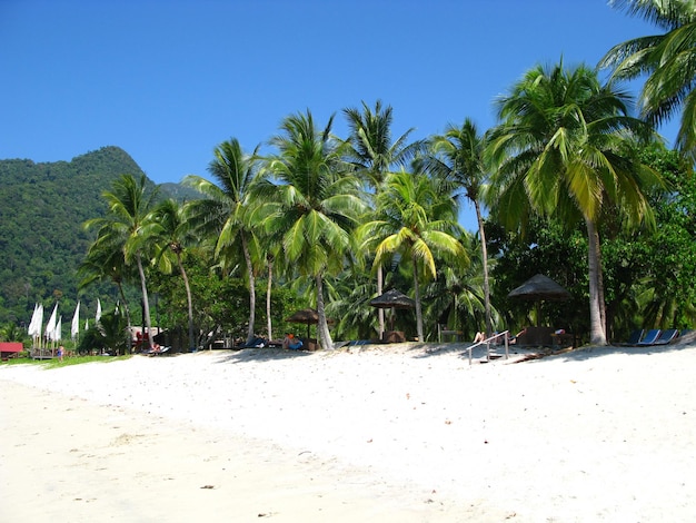 The beach in Langkavi island Malaysia