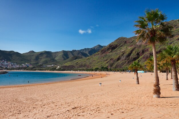 Beach Las Teresitas at summer day, Tenerife island, Canarias Spain