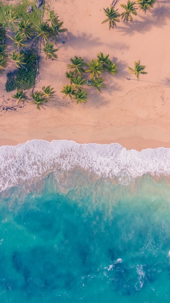 Beach maked with blue water