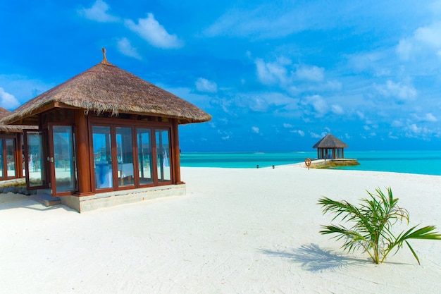 Beach in Maldives