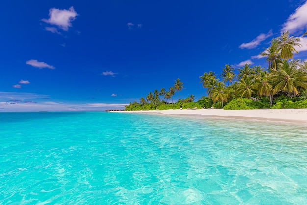 Beach nature Palm sea sand beach in tropical idyllic paradise island Exotic landscape for dream