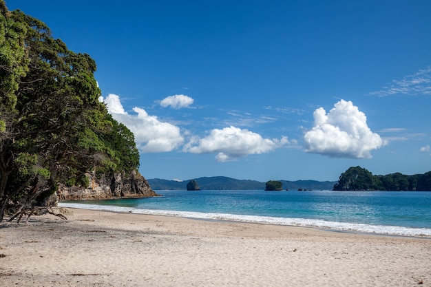 Beach near Hahei