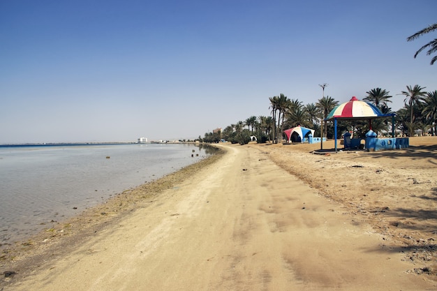 The beach of Red sea in Saudi arabia