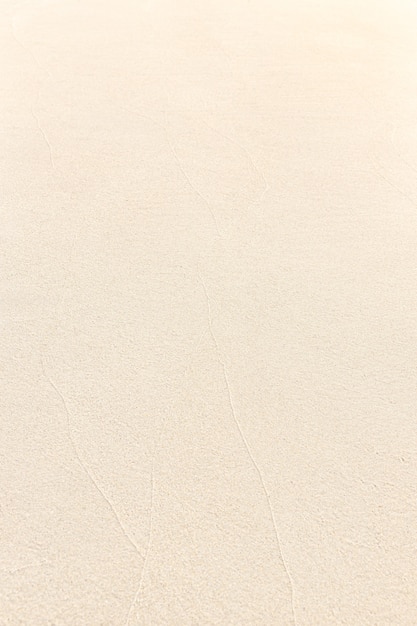 Beach Sand background texture. Wet Sandy beach