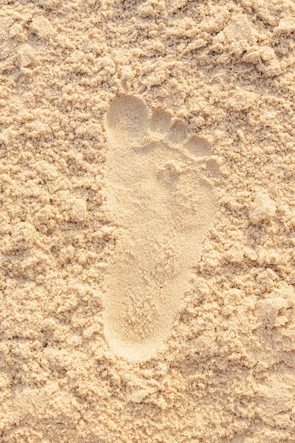 Beach sand footprint ocean coast sea. Close-up image.