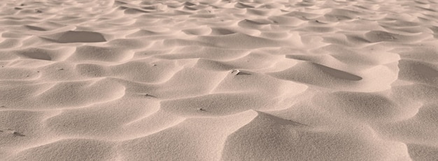 Beach sand from desert dunes along the coast in nature with copyspace on a sunny day Closeup of a scenic landscape outdoors with rough and rippled surface texture A calm place to feel zen and relax