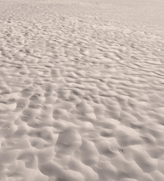 Beach sand from desert dunes with ripples along the coast in nature on a sunny day Closeup of a scenic landscape on the seashore with copyspace background outdoors A calm place to feel zen