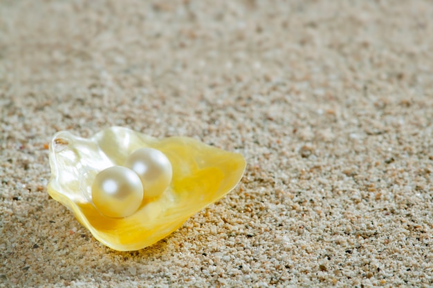 beach sand pearl on yellow shell summer tropical