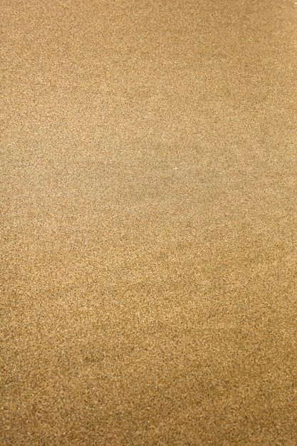 Beach sand surface texture