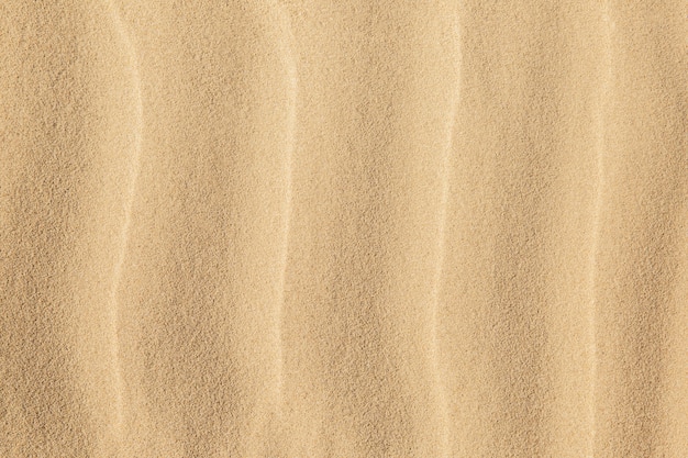 Beach sand texture, beach by the sea. Background and texture