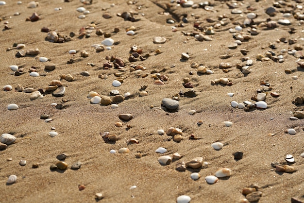 Beach sands texture and background