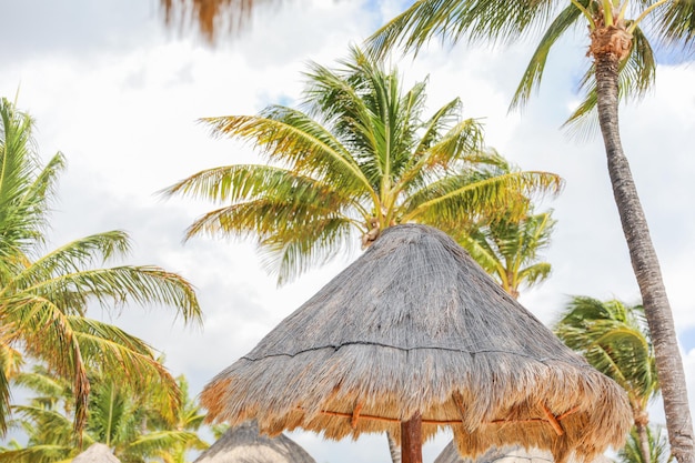 A beach scene with palm trees and a beach hut