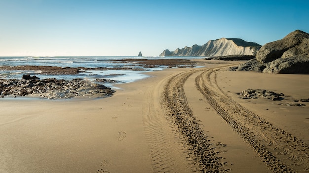 Beach scenery with quad bike trails in sand