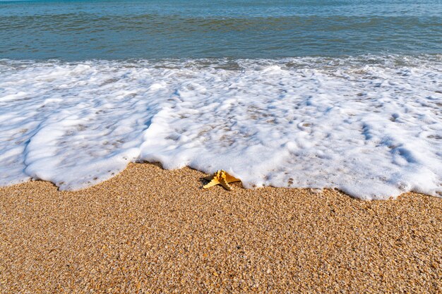 Beach and sea with azure water, summer relax