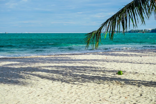 Beach in Sihanoukville Palm trees and blue sea