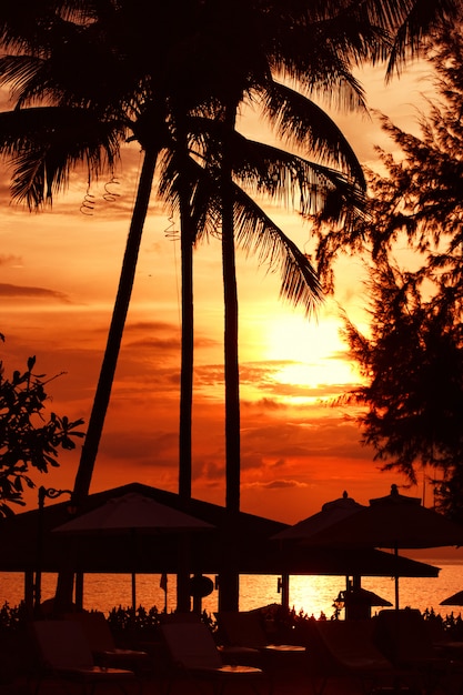 Beach sunset at the coast line, palm tree