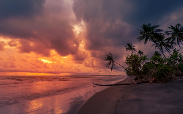 A beach at sunset with palm trees and the sun setting behind it