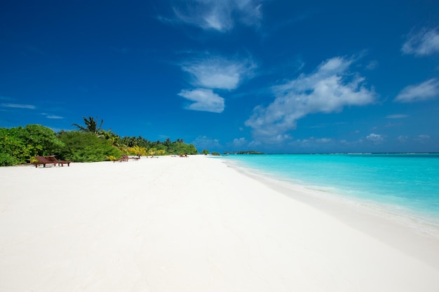 Beach and tropical sea beach landscape