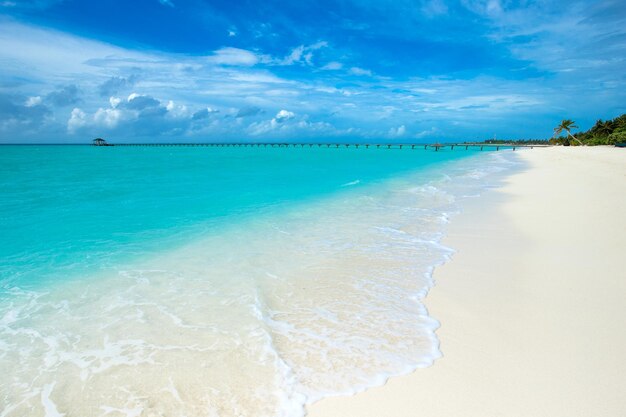 Beach and tropical sea beach landscape