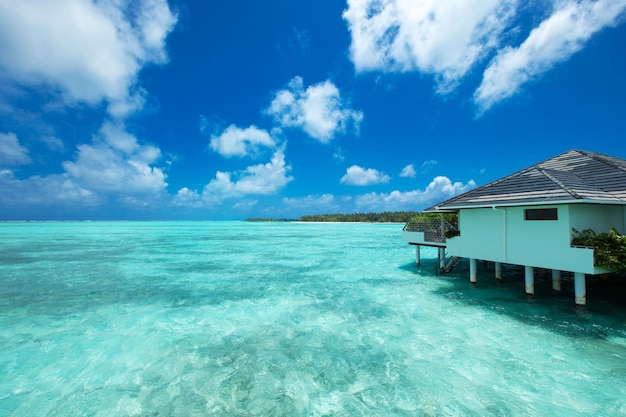 Beach and tropical sea beach landscape