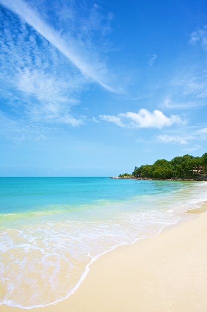 Beach and tropical sea under the bright blue sky at summer day