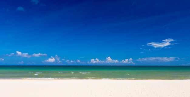 Beach and tropical sea horizon background