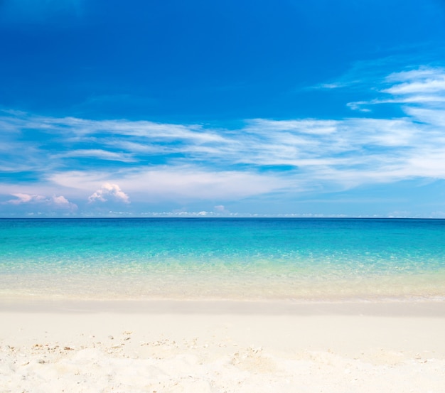 Beach and tropical sea  nature background