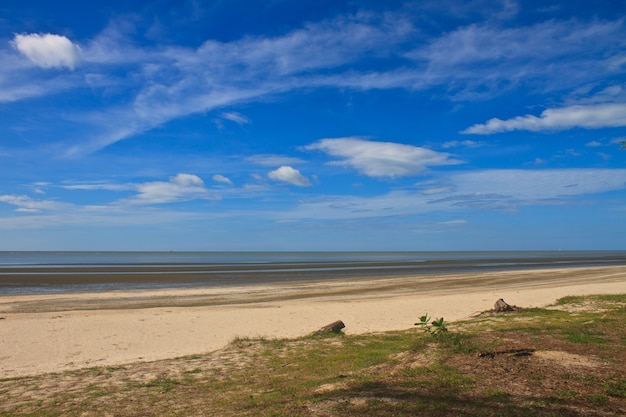  beach and tropical sea in summer