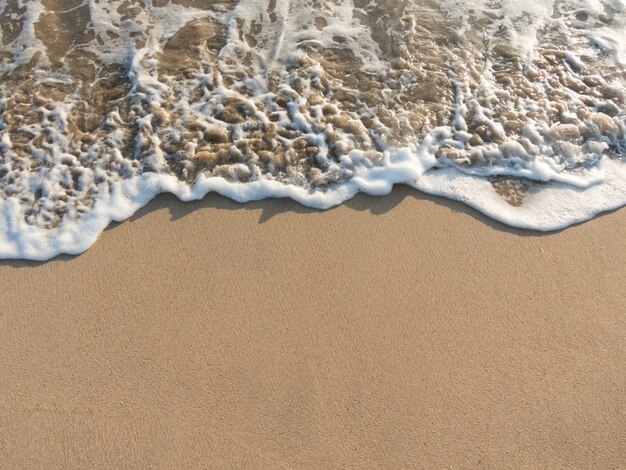 Beach and tropical sea