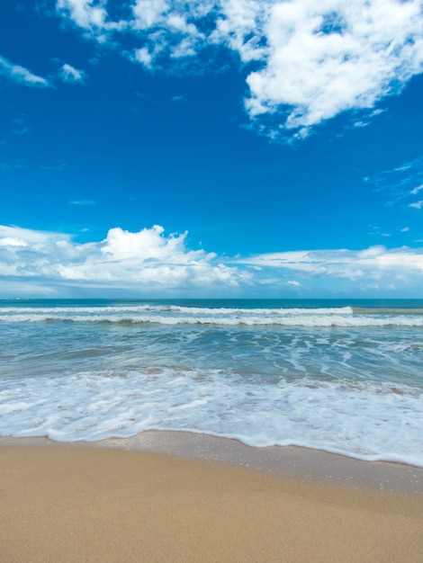 Beach and tropical sea