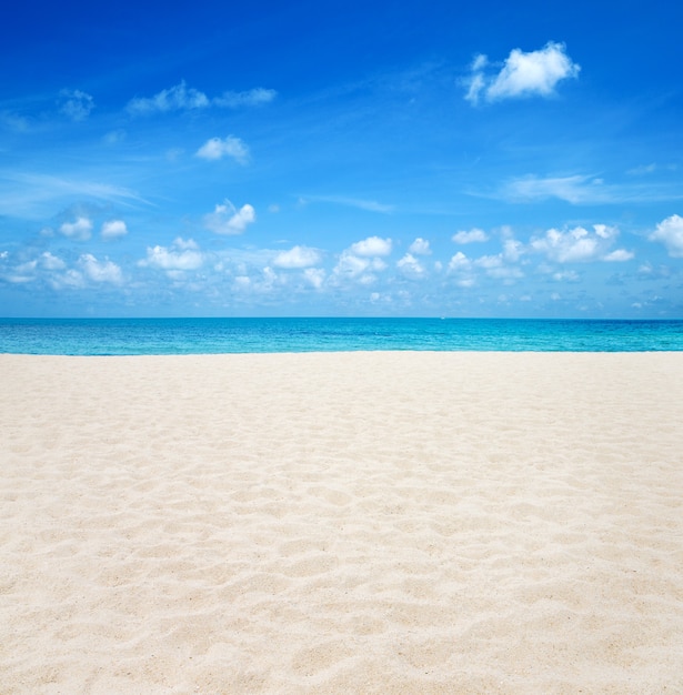 Beach and tropical sea