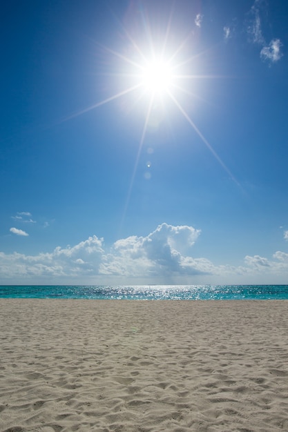 Beach and tropical sea