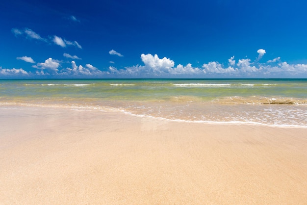 Beach and tropical sea