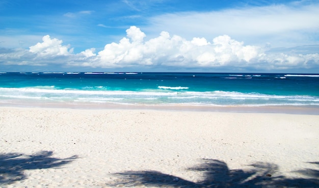 Beach and tropical sea