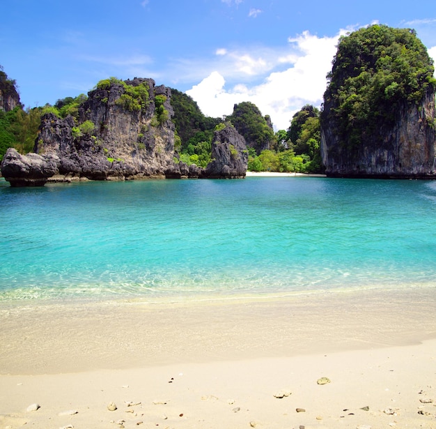 Beach and tropical sea