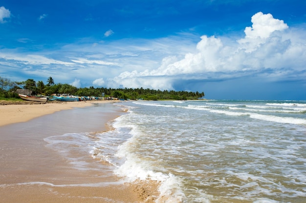 Beach and tropical sea