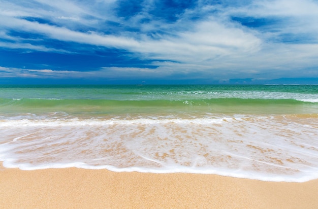 Beach and tropical sea