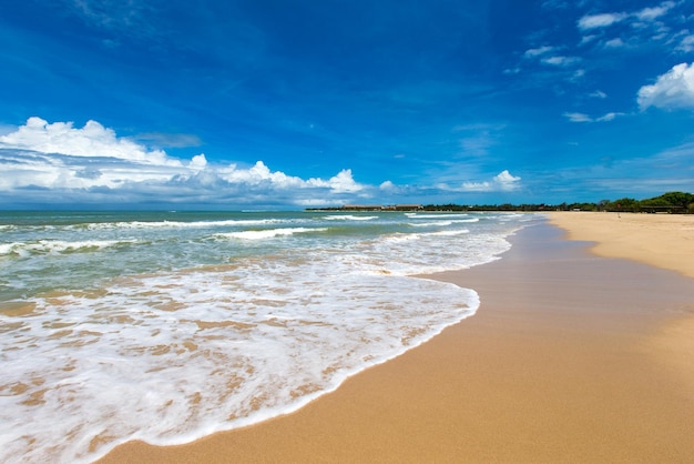 Beach and tropical sea