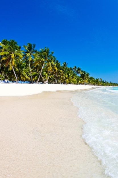 Beach and tropical sea