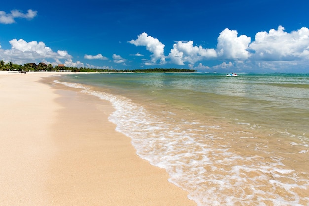 Beach and tropical sea