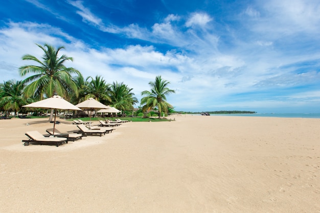 Beach and tropical sea