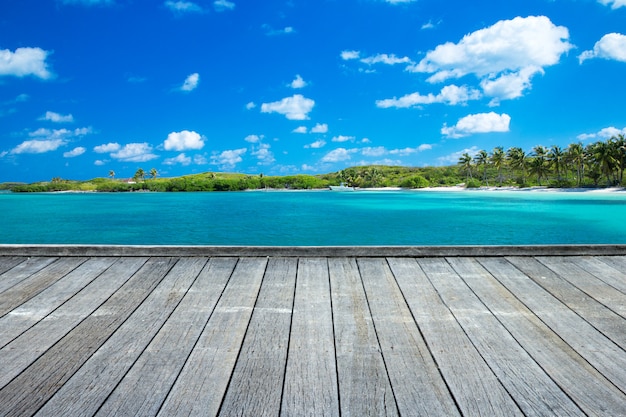 Beach and tropical sea