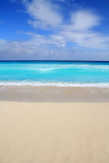 Beach tropical vertical Caribbean turquoise sea