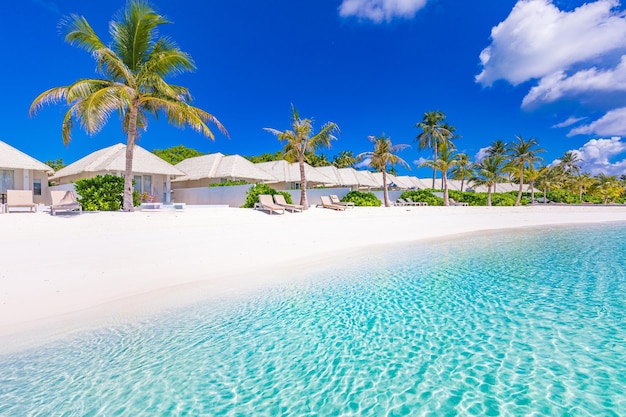 Beach villas in Maldives luxury summer travel and vacation background Amazing blue sea palm trees